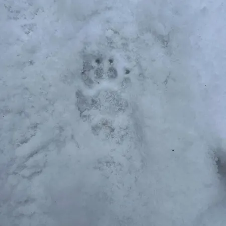 Seelenglueck * Osterode am Harz