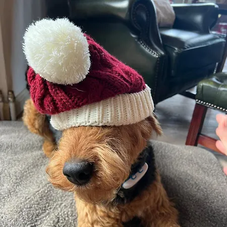 Seelenglueck Appartamento Osterode am Harz