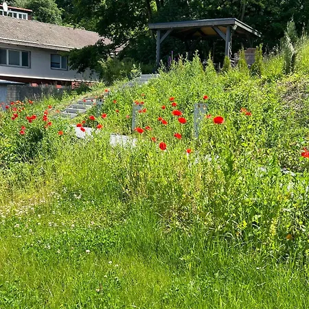 Seelenglueck Appartamento *