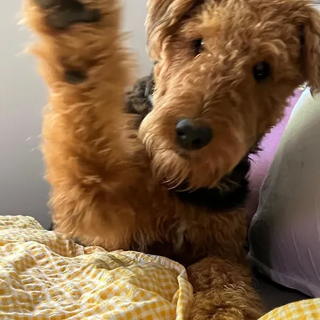 Appartamento Seelenglueck *